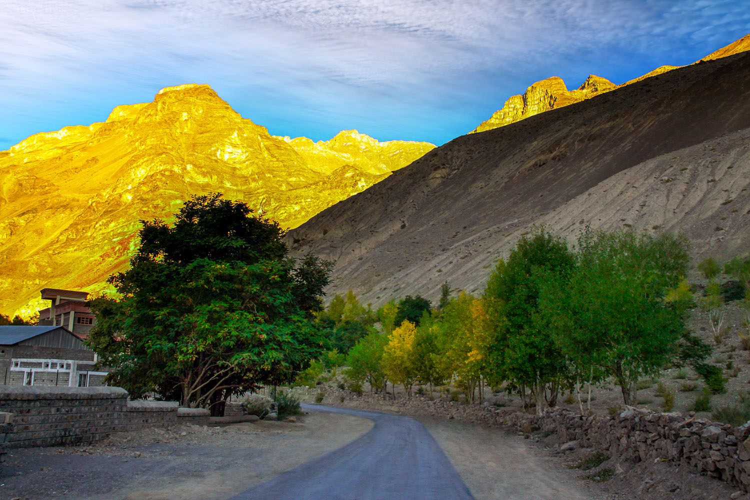 Nature Photography